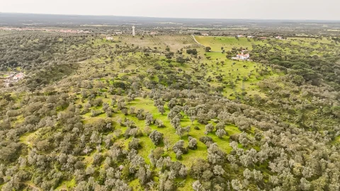 Terreno Agricola ou Rústico para Venda em Pavia