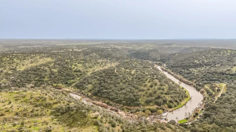 Terreno Agricola ou Rústico para Venda em Pavia