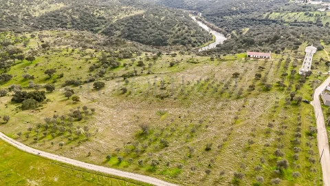 Terreno Agricola ou Rústico para Venda em Pavia