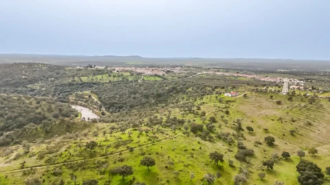 Terreno Agricola ou Rústico para Venda em Pavia