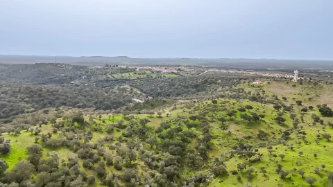 Terreno Agricola ou Rústico para Venda em Pavia