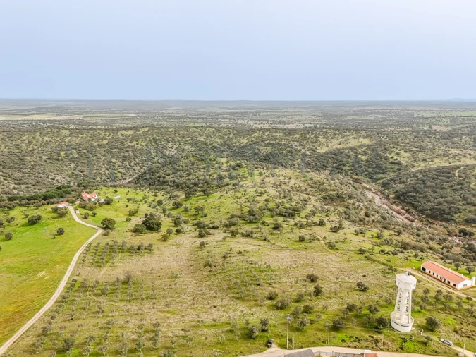 Terreno Agricola ou Rústico para Venda em Pavia Foto 3