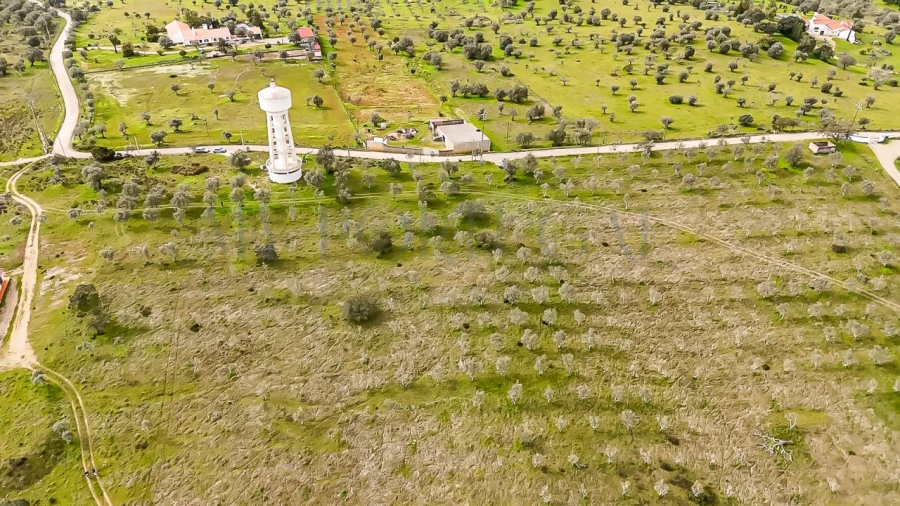 Terreno Agricola ou Rústico para Venda em Pavia Foto 5