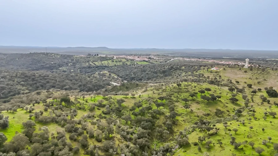 Terreno Agricola ou Rústico para Venda em Pavia Foto 9