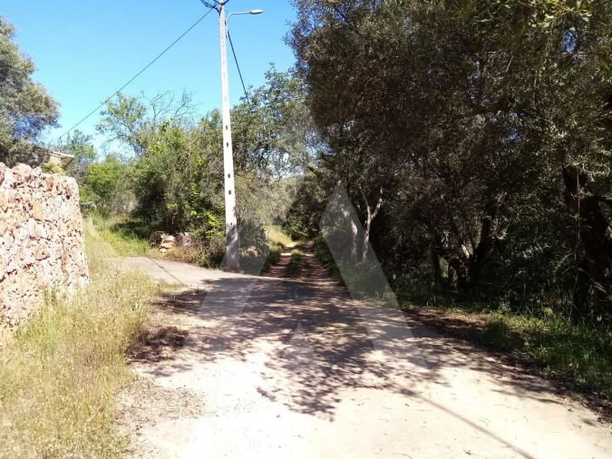 Terreno Misto para Venda em Querença, Tôr e Benafim Foto 5