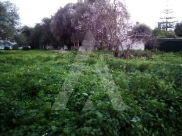 Terreno para Venda em Almancil