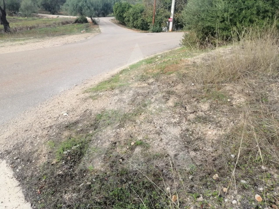 Terreno Agricola ou Rústico para Venda em Loule (São Sebastião) Foto 7