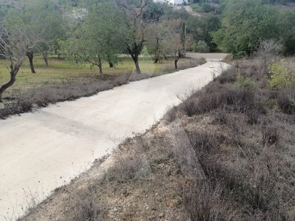 Terreno Agricola ou Rústico para Venda em Loule (São Sebastião) Foto 10