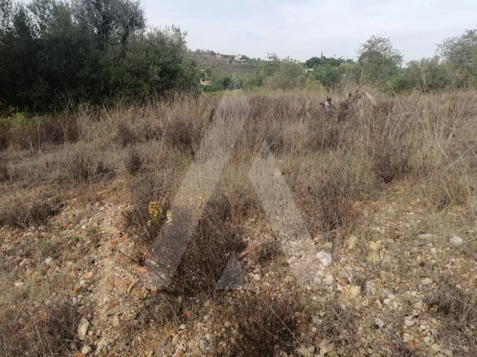 Terreno Agricola ou Rústico para Venda em Loule (São Sebastião) Foto 19