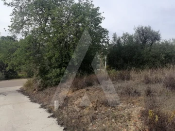 Terreno Agricola ou Rústico para Venda em Loule (São Sebastião)