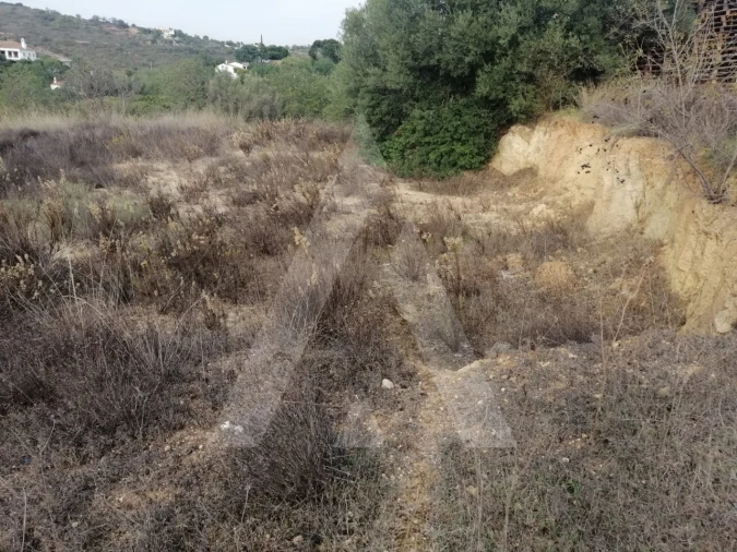 Terreno Agricola ou Rústico para Venda em Loule (São Sebastião) Foto 18