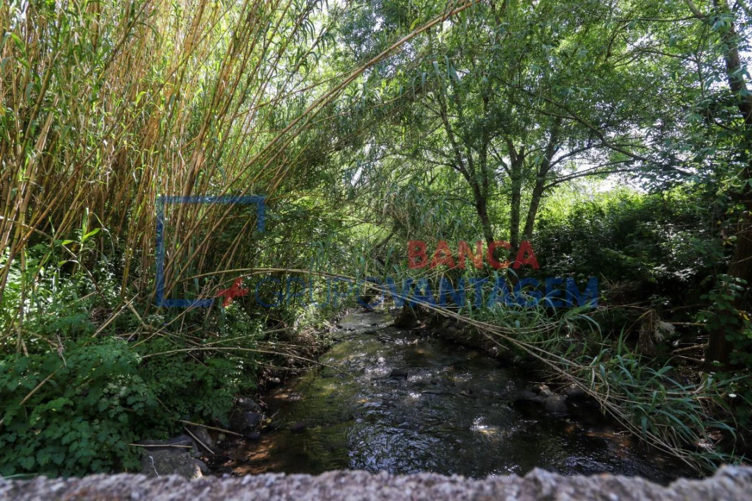 Terreno Agricola ou Rústico para Venda em Malveira e São Miguel de Alcainça Foto 7