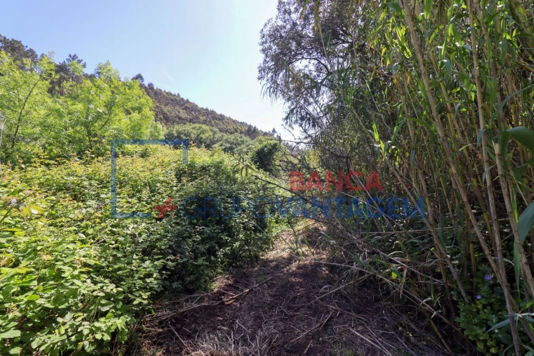 Terreno Agricola ou Rústico para Venda em Malveira e São Miguel de Alcainça Foto 8