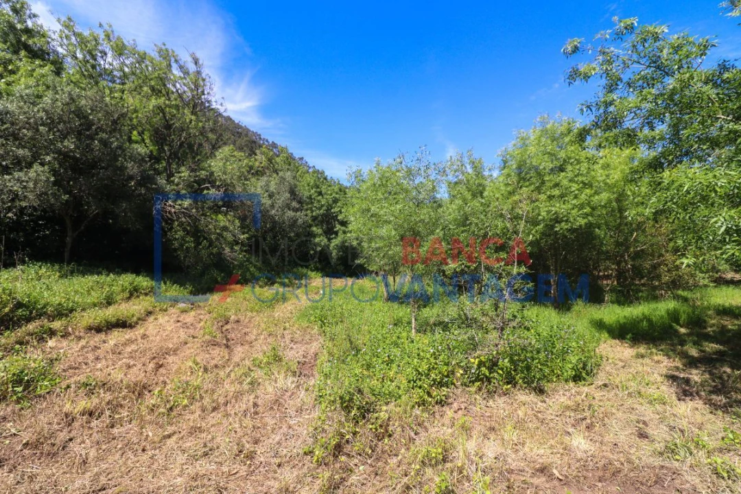 Terreno Agricola ou Rústico para Venda em Malveira e São Miguel de Alcainça Foto 11