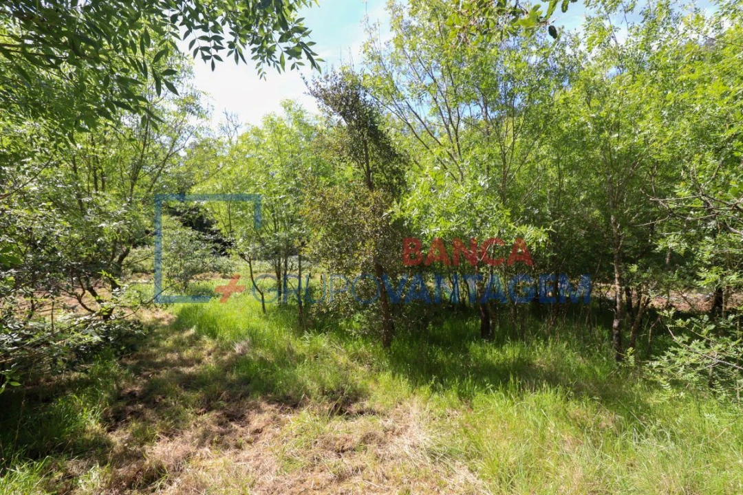 Terreno Agricola ou Rústico para Venda em Malveira e São Miguel de Alcainça Foto 13