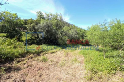 Terreno Agricola ou Rústico para Venda em Malveira e São Miguel de Alcainça