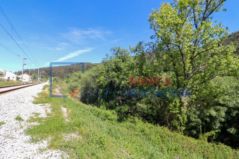 Terreno Agricola ou Rústico para Venda em Malveira e São Miguel de Alcainça Foto 6