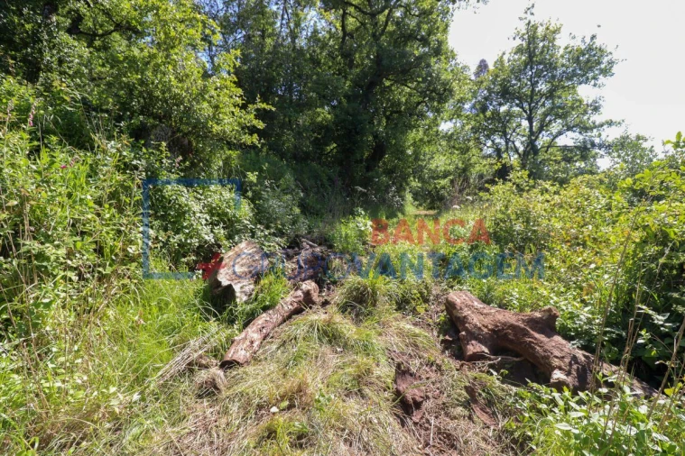Terreno Agricola ou Rústico para Venda em Malveira e São Miguel de Alcainça Foto 9