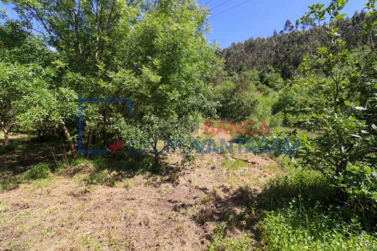 Terreno Agricola ou Rústico para Venda em Malveira e São Miguel de Alcainça Foto 10