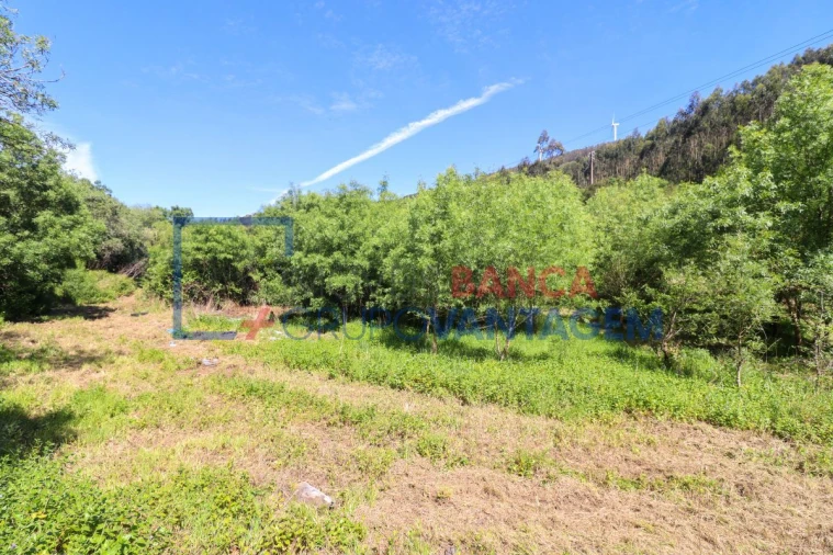 Terreno Agricola ou Rústico para Venda em Malveira e São Miguel de Alcainça Foto 14
