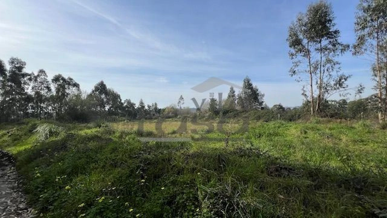 Terreno Agricola ou Rústico para Venda em Sandim, Olival, Lever e Crestuma Foto 1