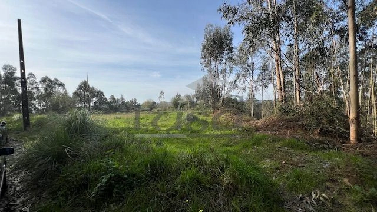 Terreno Agricola ou Rústico para Venda em Sandim, Olival, Lever e Crestuma Foto 2