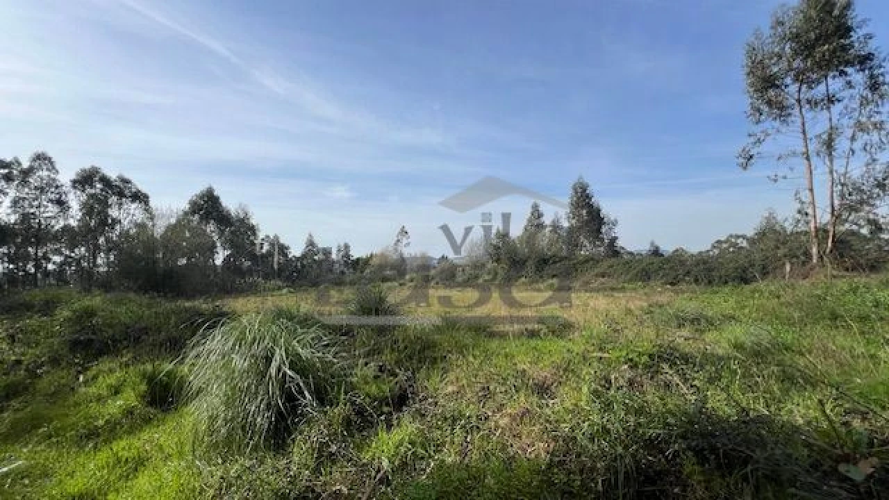 Terreno Agricola ou Rústico para Venda em Sandim, Olival, Lever e Crestuma Foto 6