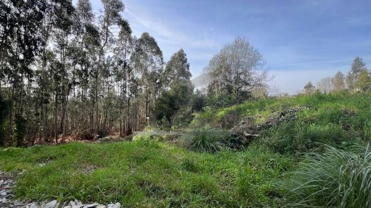 Terreno Agricola ou Rústico para Venda em Sandim, Olival, Lever e Crestuma Foto 7