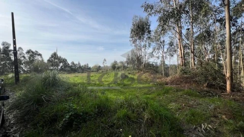 Terreno Agricola ou Rústico para Venda em Sandim, Olival, Lever e Crestuma