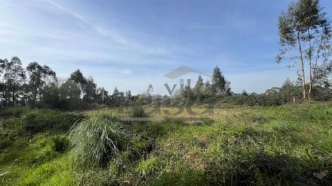 Terreno Agricola ou Rústico para Venda em Sandim, Olival, Lever e Crestuma