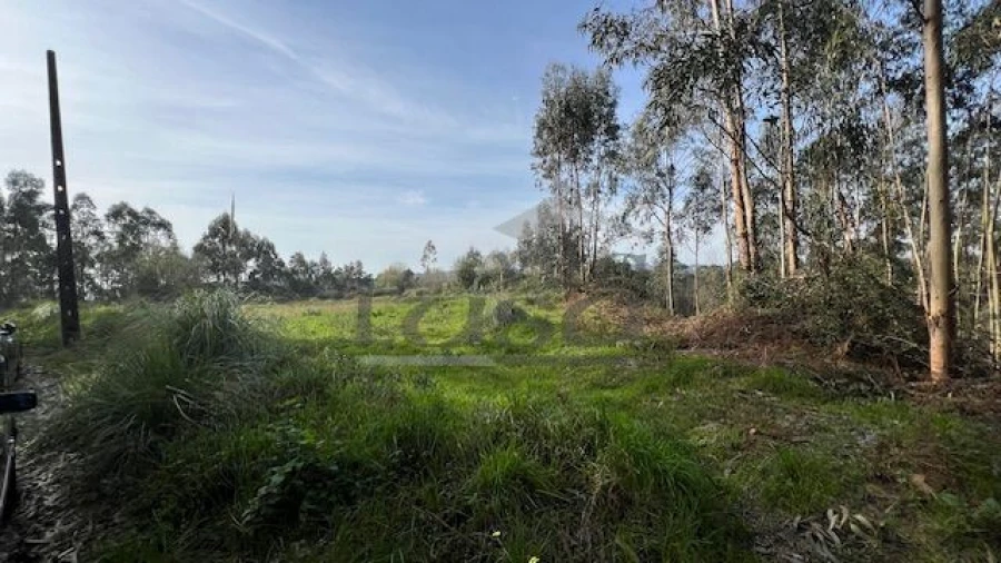 Terreno Agricola ou Rústico para Venda em Sandim, Olival, Lever e Crestuma Foto 2
