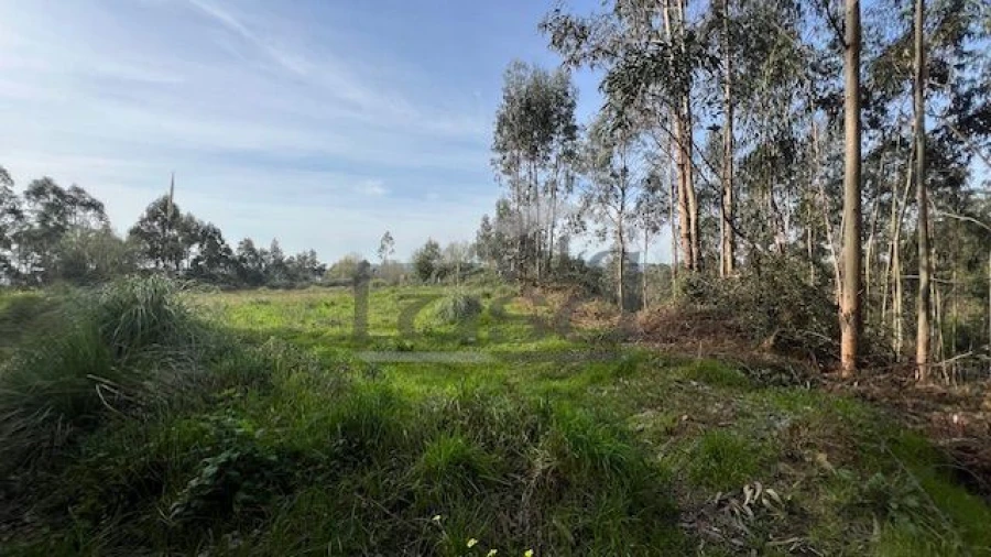 Terreno Agricola ou Rústico para Venda em Sandim, Olival, Lever e Crestuma Foto 5