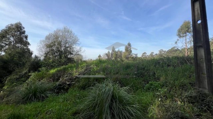 Terreno Agricola ou Rústico para Venda em Sandim, Olival, Lever e Crestuma Foto 8