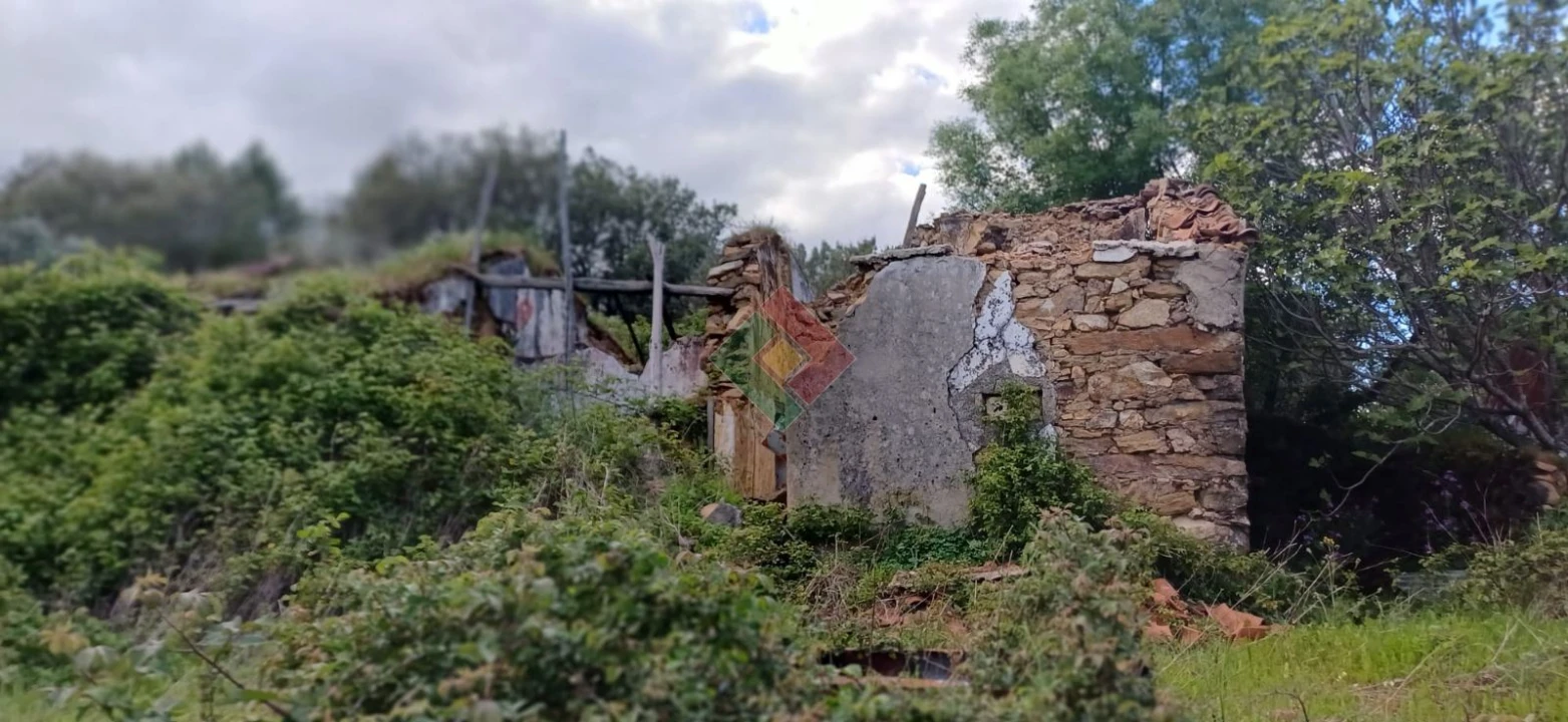 Quinta para Venda em São Salvador da Aramenha Foto 1