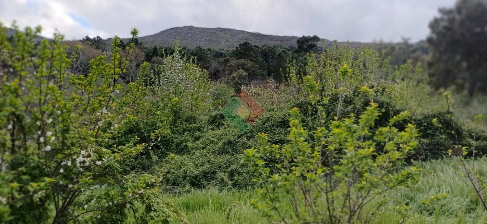 Quinta para Venda em São Salvador da Aramenha Foto 5