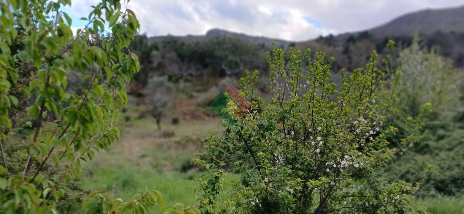 Quinta para Venda em São Salvador da Aramenha Foto 6