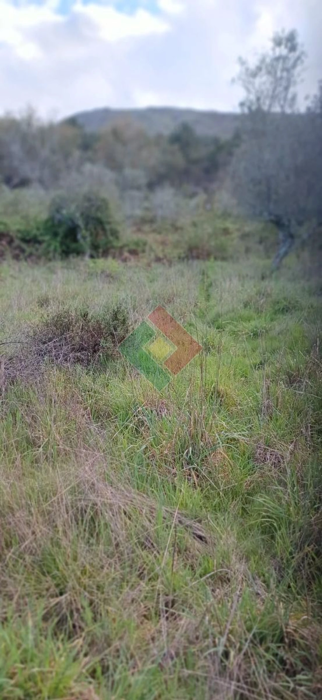 Quinta para Venda em São Salvador da Aramenha Foto 12