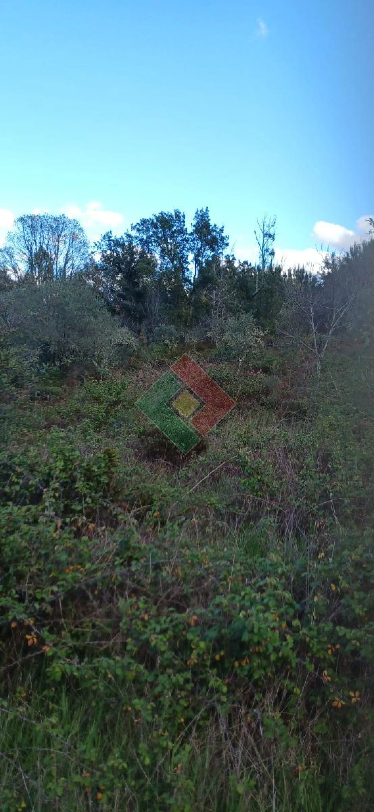 Quinta para Venda em São Salvador da Aramenha Foto 13