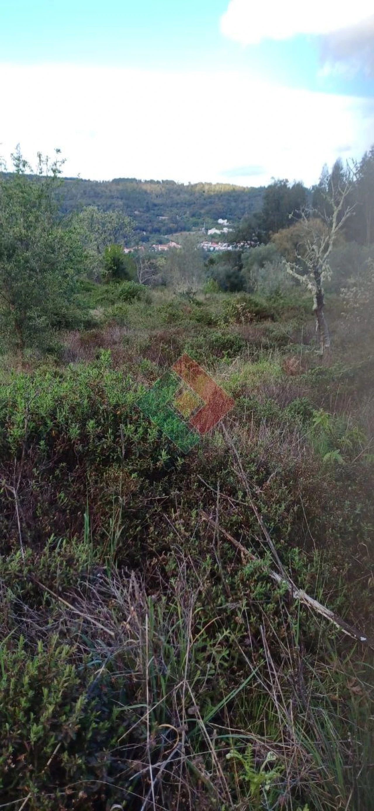 Quinta para Venda em São Salvador da Aramenha Foto 14