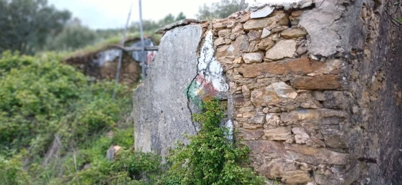 Quinta para Venda em São Salvador da Aramenha