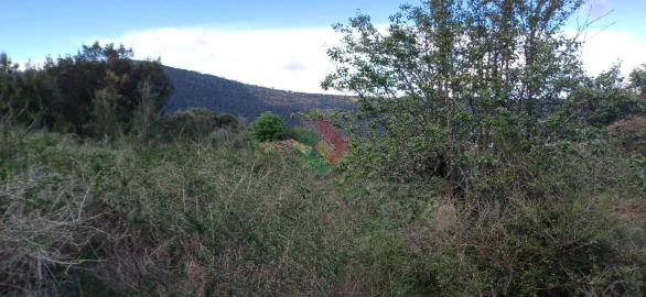 Quinta para Venda em São Salvador da Aramenha