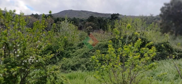 Quinta para Venda em São Salvador da Aramenha