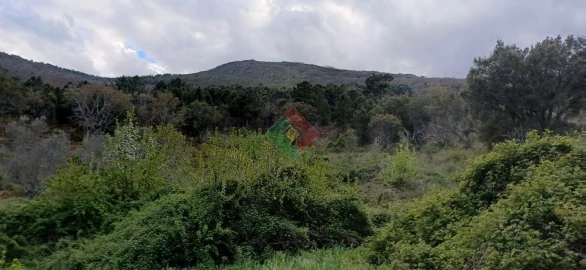 Quinta para Venda em São Salvador da Aramenha