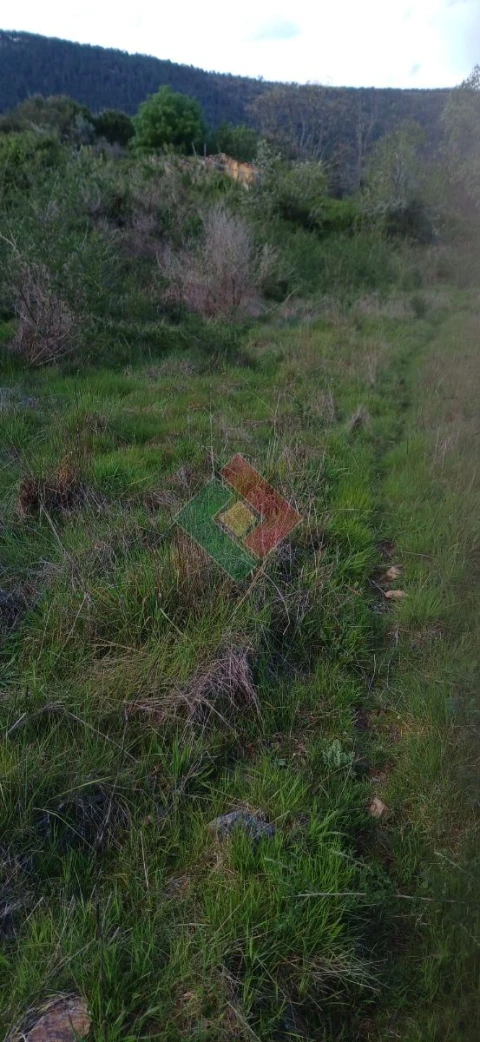 Quinta para Venda em São Salvador da Aramenha