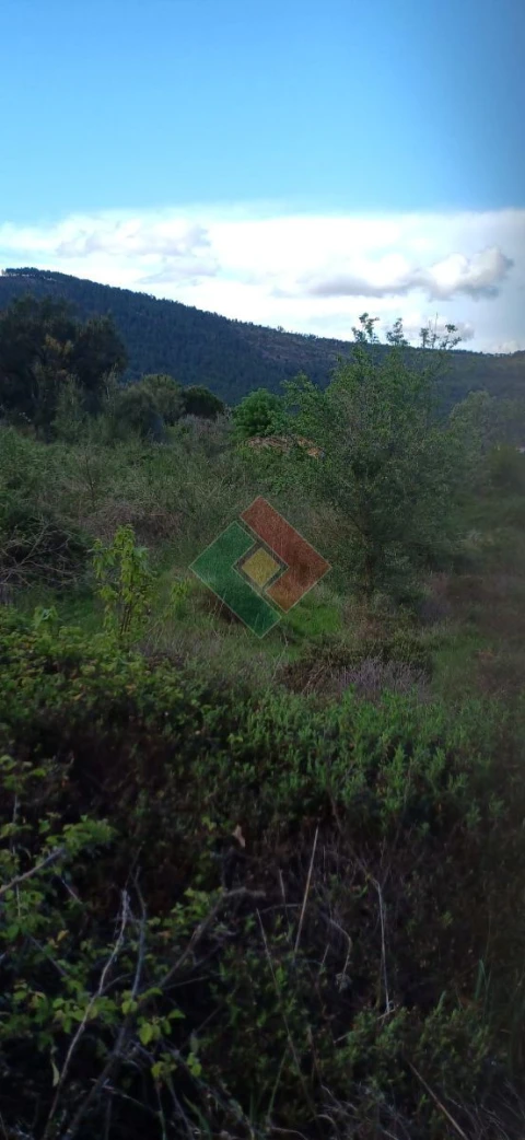 Quinta para Venda em São Salvador da Aramenha