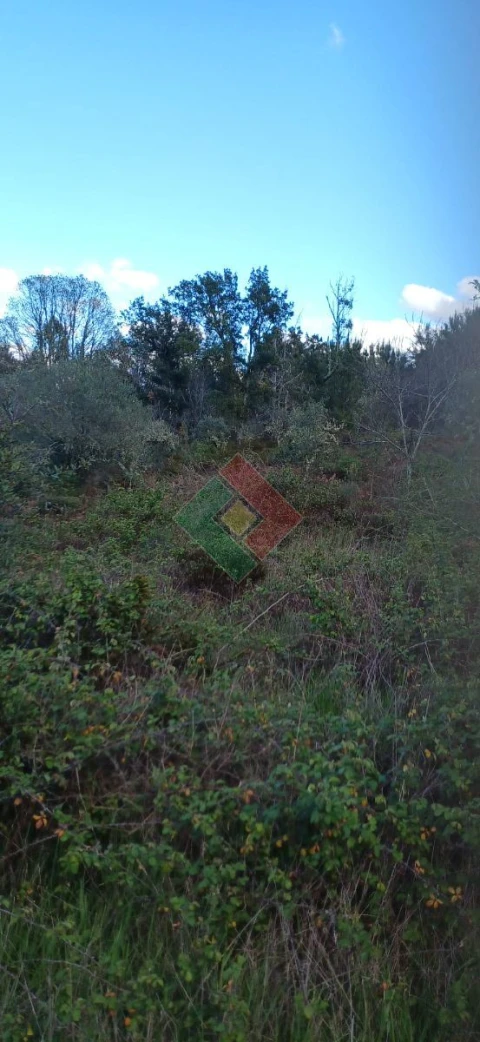 Quinta para Venda em São Salvador da Aramenha