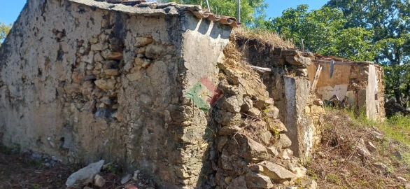 Quinta para Venda em São Salvador da Aramenha