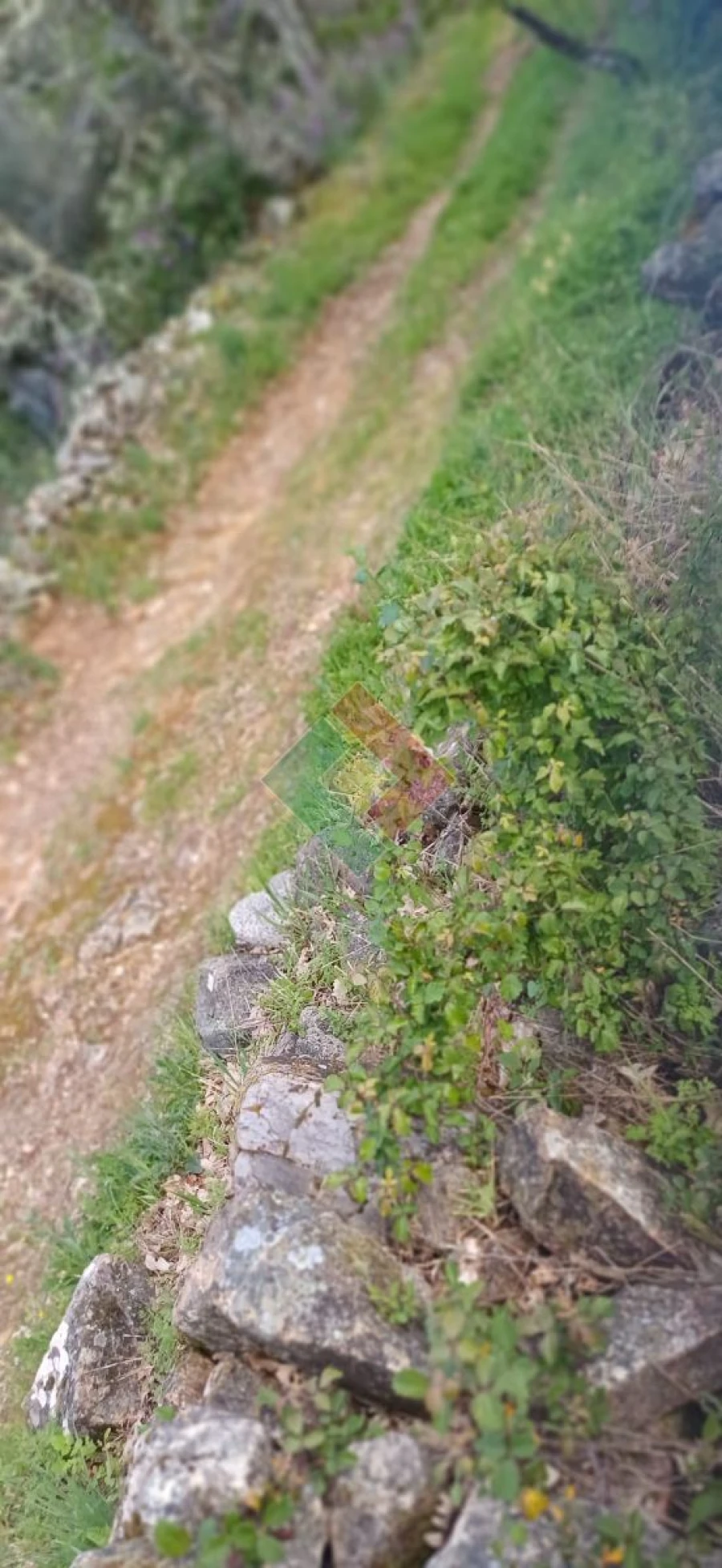 Quinta para Venda em São Salvador da Aramenha Foto 4