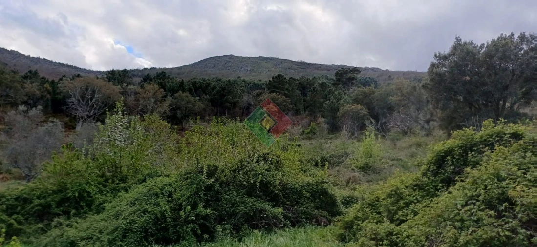 Quinta para Venda em São Salvador da Aramenha Foto 7