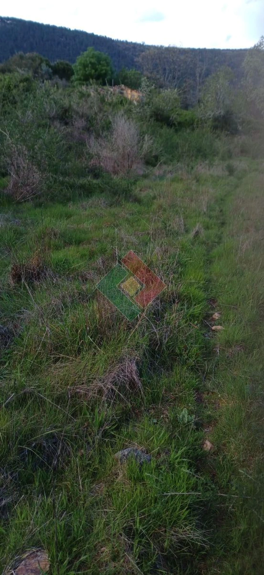 Quinta para Venda em São Salvador da Aramenha Foto 8